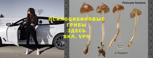 прущая мука Дмитровск
