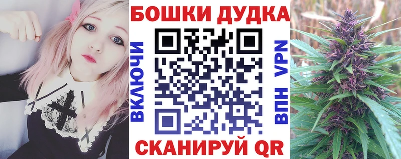 купить наркоту  Волхов  mega ССЫЛКА  shop телеграм  Каннабис конопля 